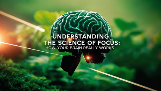 Understanding the Science of Focus How Your Brain Really Works