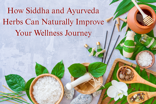 How Siddha and Ayurveda Herbs Can Naturally Improve Your Wellness Journey