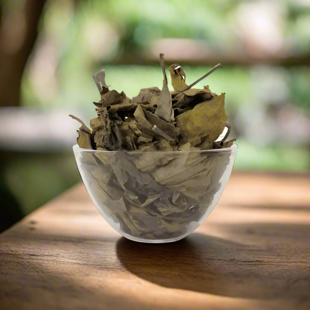 Adathodai Dry leaves