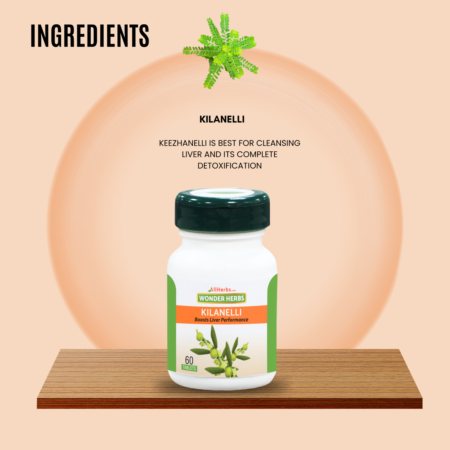 Kilanelli Tablet - AH /Keezhanelli plant / Bhumi Amla