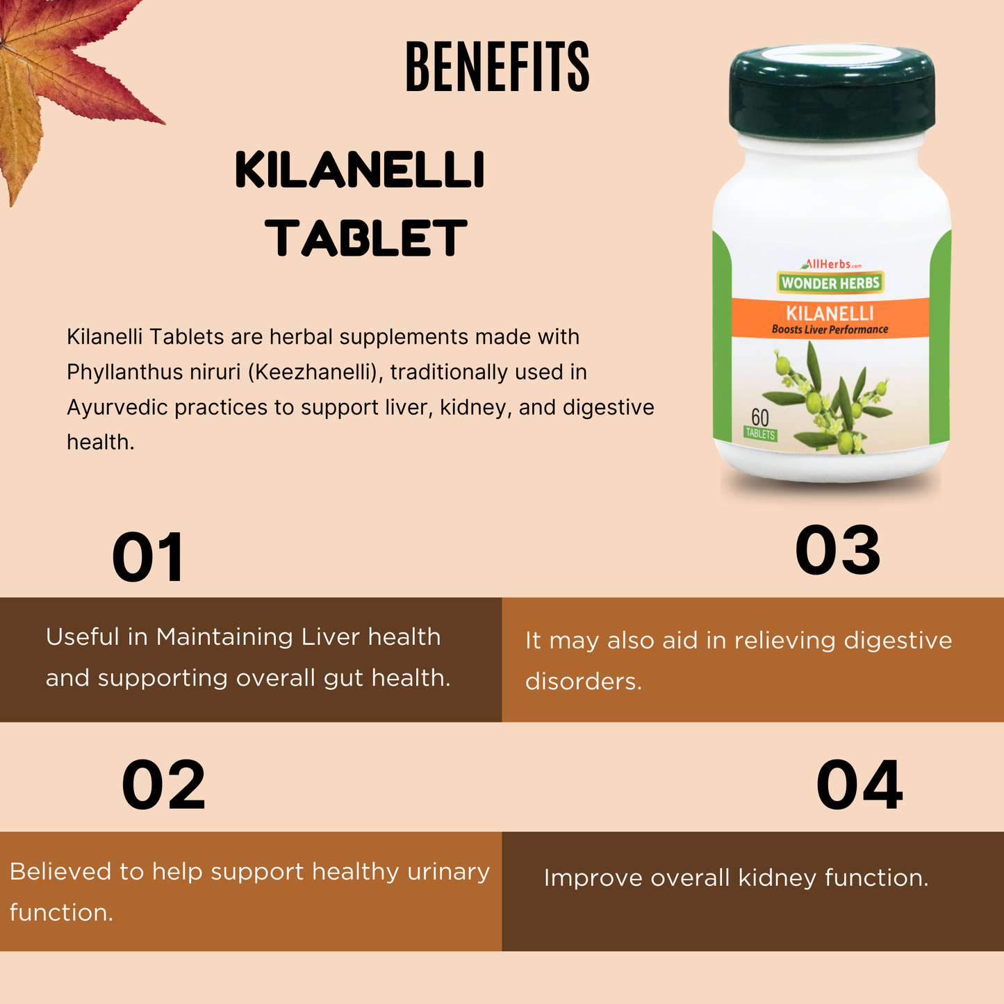 Kilanelli Tablet - AH /Keezhanelli plant / Bhumi Amla