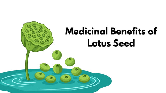 Benefits of Lotus Seed: Medicinal Uses, Skin, Hair & Weight Loss