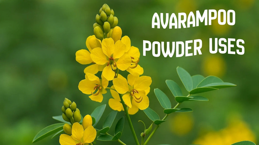 Aavaram Poo Powder Uses, Benefits & Avarampoo Chooranam Guide
