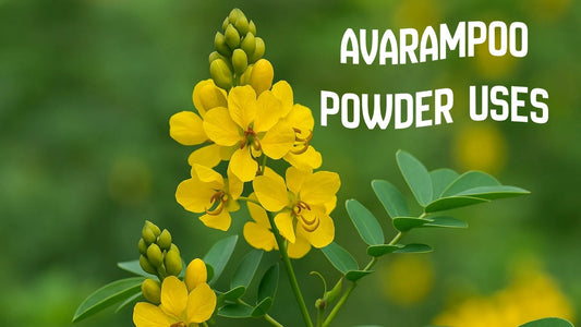 Aavaram Poo Powder Uses, Benefits & Avarampoo Chooranam Guide