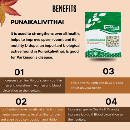 Punaikali Vithai / Velvet bean seed Chooranam - ( kaunch beej ) MediSiddh