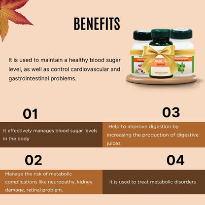 Diabetex Capsule 60 No's + Naavalkottai Tablet 60 No's + Sirukurinjan Tablet 60 No's -Diabetes Combo - AH