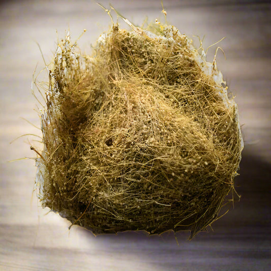 parpadagam