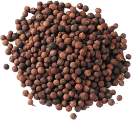 Vividangam